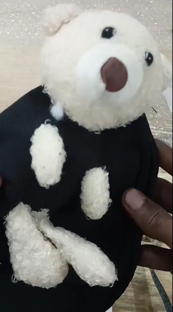 New Cute Plush Teddy Bear Chest Bag, Women's Canvas Crossbody Bag